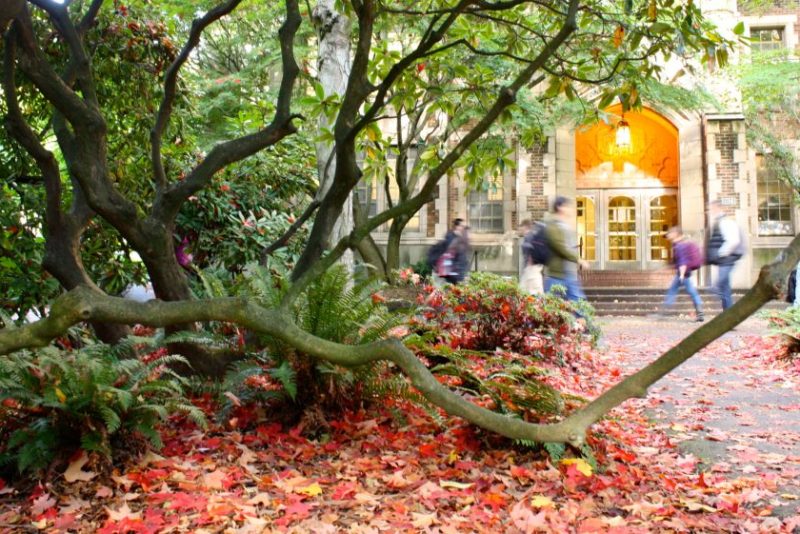 Autumn in front of Thomson Hall